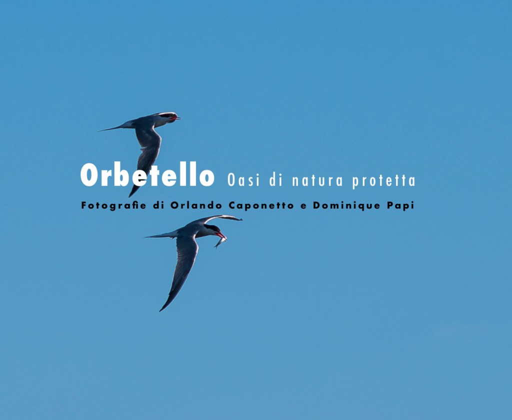 Oasi di Orbetello-PhotoBook