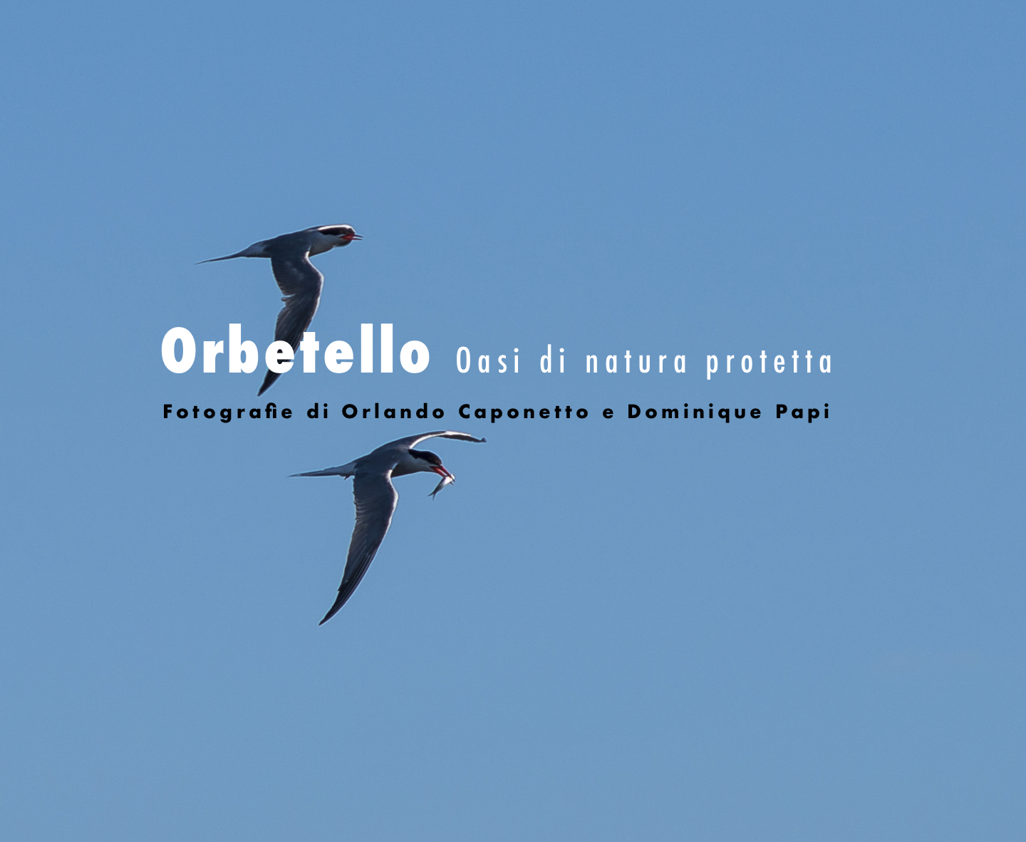 Oasi di Orbetello-PhotoBook